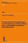 Terenzio Angelini - Praxisorientierte Empfehlungen zur Konzipierung und Beurteilung einer nachhaltigen staatlichen Schuldenpolitik