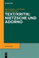 Martin Endres, Axe Pichler, Axel Pichler, Claus Zittel - Text/Kritik: Nietzsche und Adorno