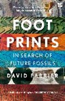 David Farrier, Farrier David - Footprints