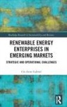 Gabriel, Cle-Anne Gabriel - Renewable Energy Enterprises in Emerging Markets
