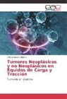 Alfredo López Cabañas - Tumores Neoplásicos y no Neoplásicos en Équidos de Carga y Tracción