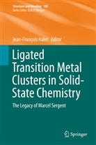 Jean-Françoi Halet, Jean-François Halet - Ligated Transition Metal Clusters in Solid-state Chemistry