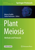 Heckmann, Heckmann, Stefan Heckmann, Mónic Pradillo, Monica Pradillo, Mónica Pradillo - Plant Meiosis