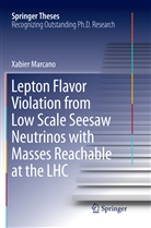 Xabier Marcano - Lepton Flavor Violation from Low Scale Seesaw Neutrinos with Masses Reachable at the LHC
