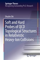 Shuzhe Shi - Soft and Hard Probes of QCD Topological Structures in Relativistic Heavy-Ion Collisions