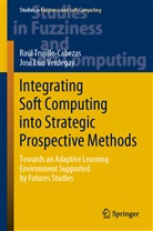 Raúl Trujillo Cabezas, Raú Trujillo-Cabezas, Raúl Trujillo-Cabezas, José Luis Verdegay - Integrating Soft Computing into Strategic Prospective Methods