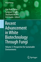 Arti Gupta, Shashank Mishra, Shashank Mishra et al, Sangra Singh, Sangram Singh, Ajar Nath Yadav - Recent Advancement in White Biotechnology Through Fungi