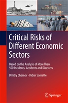 Dmitr Chernov, Dmitry Chernov, Didier Sornette - Critical  Risks of Different Economic Sectors