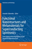 Anatoli Sidorenko, Anatolie Sidorenko - Functional Nanostructures and Metamaterials for Superconducting Spintronics
