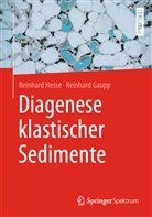 Reinhard Gaupp, Reinhar Hesse, Reinhard Hesse - Diagenese klastischer Sedimente