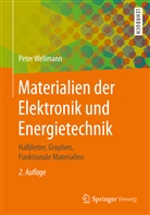 Peter Wellmann, Peter (Prof. Dr.-Ing.) Wellmann - Materialien der Elektronik und Energietechnik