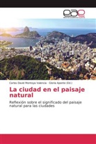 Carlos David Montoya Valencia, Glori Aponte, Gloria Aponte - La ciudad en el paisaje natural