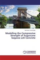 Ikechukwu Umeonyiagu - Modelling the Compressive Strength of Sugarcane bagasse ash Concrete