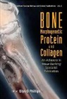 Phillips Glyn O, Glyn O Phillips, Glyn O Phillips, Glyn O. Phillips - Bone Morphogenetic Protein And Collagen: An Advances In Tissue Banking Specialist Publication