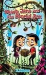 K. M. Bowe - Stevie, Jane and the Special Box