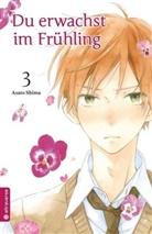 Asato Shima - Du erwachst im Frühling. Bd.3