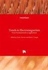 Victo Barsan, Victor Barsan, LUNGU, Lungu, Radu Lungu - Trends in Electromagnetism
