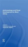 Michael M Horowitz, Michael M Painter Horowitz, Michael M Horowitz, Thomas M Painter - Anthropology and Rural Development in West Africa