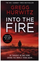 Gregg Hurwitz - Into the Fire