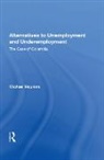 Michael Hopkins - Alternatives to Unemployment and Underemployment