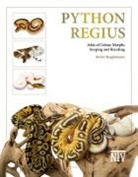 Stefan Broghammer - Python regius