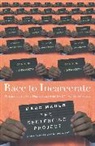 Marc Mauer - Race to Incarcerate