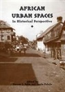 Steven J. Salm, Toyin Falola, Steven J. Salm, Steven Steven Salm - African Urban Spaces in Historical Perspective