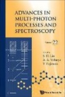 Albert A Villaeys &amp; Yui Sheng Hsien Lin, Lin Sheng-hsien, Yuichi Fujimura, Sheng-Hsien Lin, Albert A Villaeys, Albert A. Villaeys - ADV MULTI-PHOTON PROCESS..(V22)