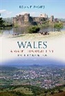 Brian E Davies, Brian E. Davies - Wales a Walk Through Time - Flat Holm to Brecon