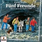 Enid Blyton - Fünf Freunde und der Esel in der Tropfsteinhöhle, 1 Audio-CD, 1 Audio-CD (Hörbuch)