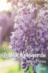 Bekir Üstün - Disarisi