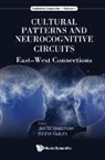 Jan Vasbinder &amp; Balazs Gulyas, Vasbinder Jan Wouter, Balazs Gulyas, Jan W Vasbinder, Jan W. Vasbinder, Jan Wouter Vasbinder - CULTURAL PATTERNS AND NEUROCOGNITIVE CIRCUITS