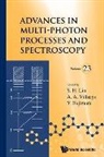 Albert A Villaeys &amp; Yui Sheng Hsien Lin, Lin Sheng-hsien, Yuichi Fujimura, Sheng-Hsien Lin, Albert A Villaeys, Albert A. Villaeys - ADV MULTI-PHOTON PROCESS..(V23)