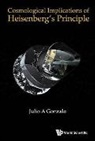 Gonzalo Julio A, Julio A Gonzalo, Julio A. Gonzalo, Julio A Gonzalo - Cosmological Implications of Heisenberg's Principle