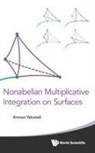 Yekutieli Amnon, Amnon Yekutieli, Amnon Yekutieli, Yekutieli Amnon - Nonabelian Multiplicative Integration On Surfaces