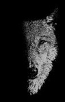Sam Hughes George, Sam George, Bill Hughes, William Hughes - In the Company of Wolves