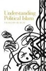 Francois Burgat, François Burgat - Understanding Political Islam