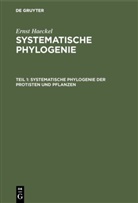 Ernst Haeckel - Ernst Haeckel: Systematische Phylogenie - Teil 1: Systematische Phylogenie der Protisten und Pflanzen