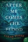 Sarah Perry - After Me Comes the Flood