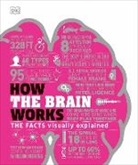 DK, Liam Drew - How the Brain Works