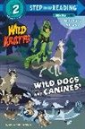 Chris Kratt, Martin Kratt - Wild Kratts