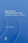 Carol Lee Hamrin, Hamrin Carol Lee - China and the Challenge of the Future