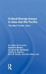 Harrison Brown, Fereidun Fesharaki, Corazon M. Siddayao, Toufiq A. Siddiqi, Kirk R. Smith, Kim Woodard - Critical Energy Issues in Asia and the Pacific