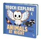 Pascale Hedelin, Emmanuel Ristord - Touch and Explore