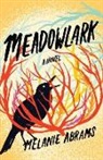 Melanie Abrams - Meadowlark