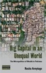Rosita Armytage - Big Capital in an Unequal World
