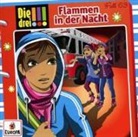 Maja von Vogel - Flammen in der Nacht (Hörbuch)