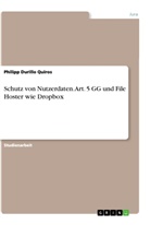 Philipp Durillo Quiros - Schutz von Nutzerdaten. Art. 5 GG und File Hoster wie Dropbox
