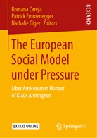 Romana Careja, Patric Emmenegger, Patrick Emmenegger, Nathalie Giger - The European Social Model under Pressure