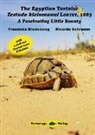 Franziska Biedenweg, Ricarda Schramm, Ricarda Schramm - The Egyptian Tortoise, Testudo kleinmanni Lortet, 1883
